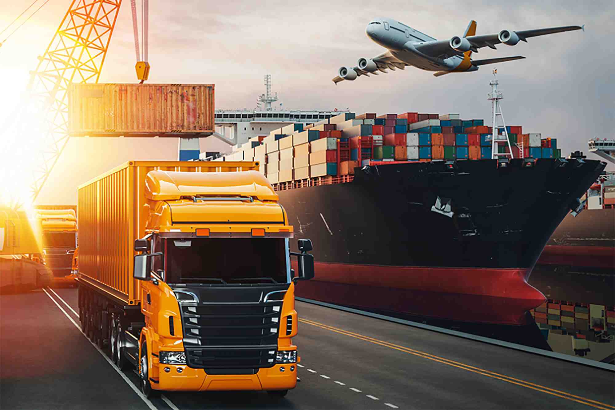 İhracat operasyon desteği